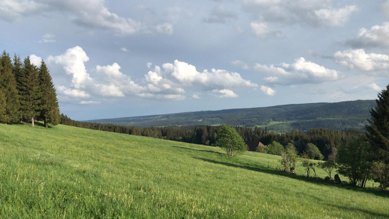 Ferienwohnung Zur Alten Schmiede Ленцкирх Екстериор снимка